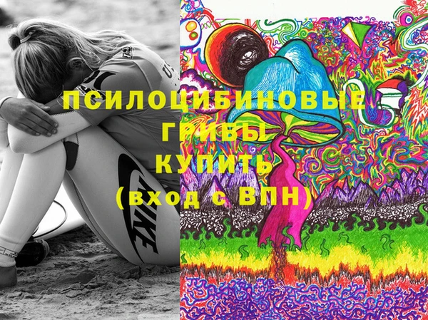 марки nbome Вяземский