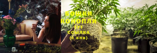 марки nbome Вяземский