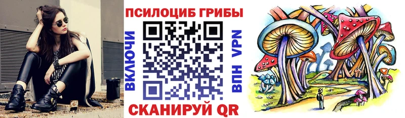 Купить закладки  Камень-на-Оби  Псилоцибиновые грибы прущие грибы 